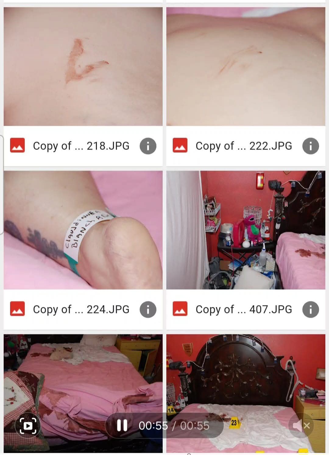 Gypsy Rose archive media